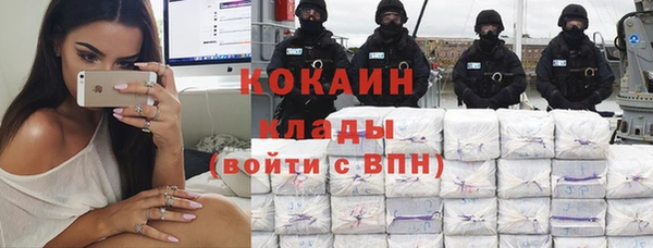 ПСИЛОЦИБИНОВЫЕ ГРИБЫ Абаза